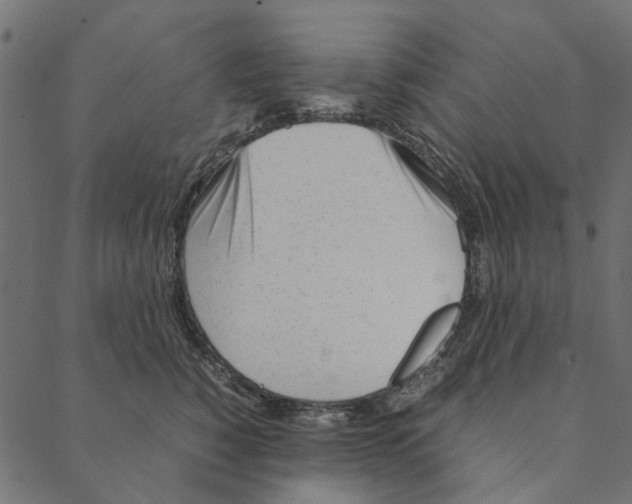 X0000087390760200705181307