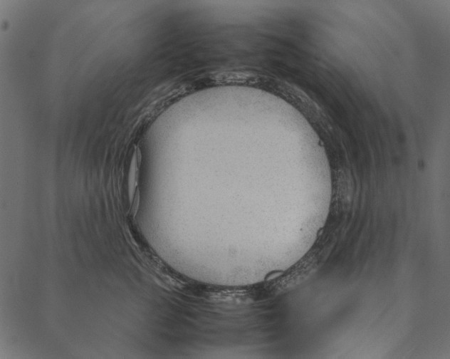 X0000087390761200705181307