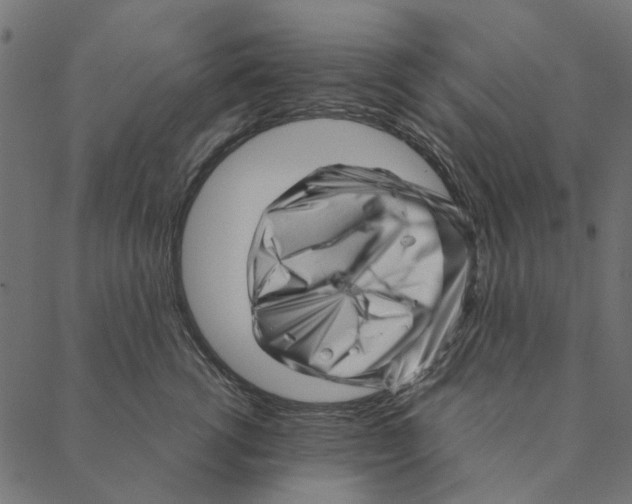 X0000087390762200705181307