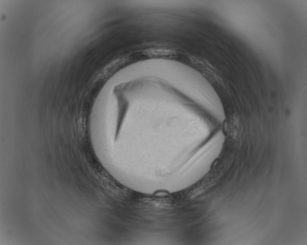 X0000087390763200705181307