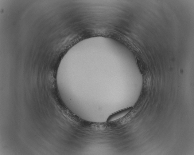 X0000087390764200705181307