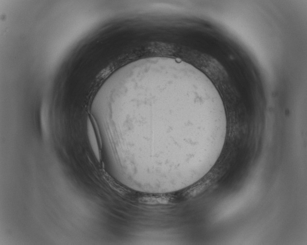 X0000087390765200705181307