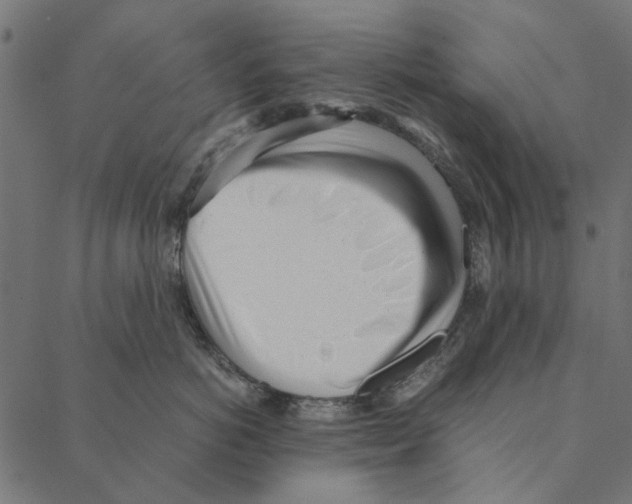 X0000087390766200705181307