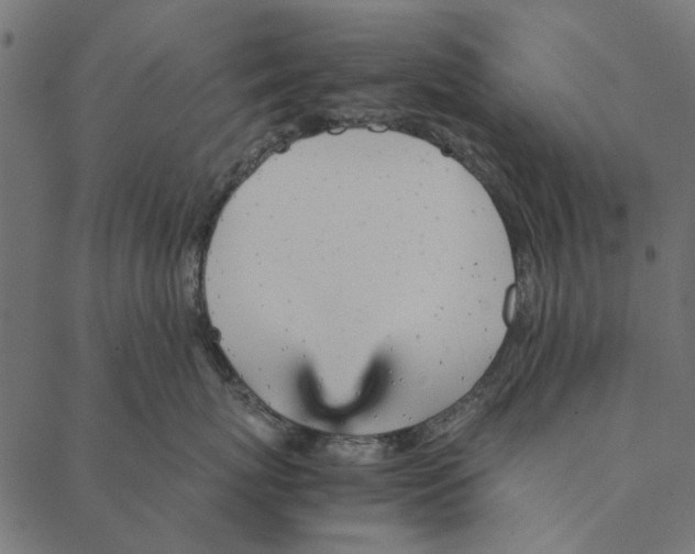 X0000087390767200705181307