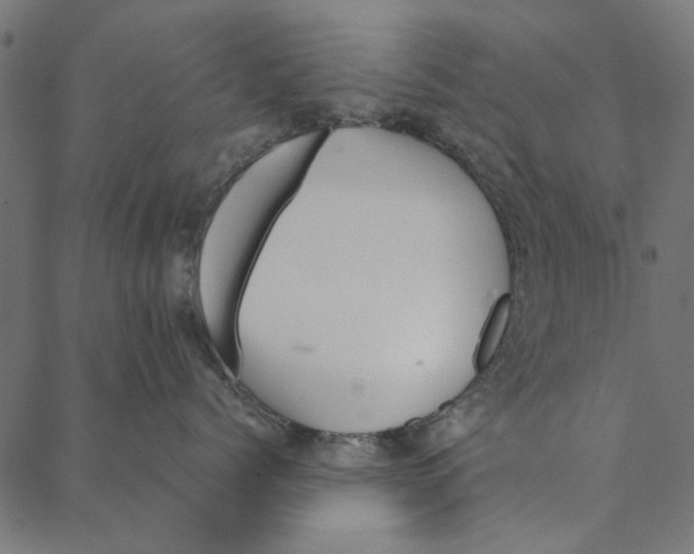 X0000087390768200705181307