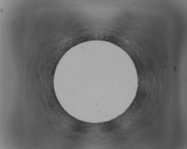 X0000087390769200705181306