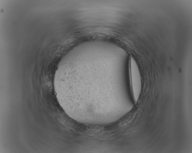 X0000087390771200705181306