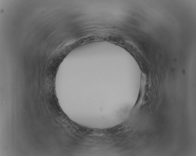 X0000087390773200705181306