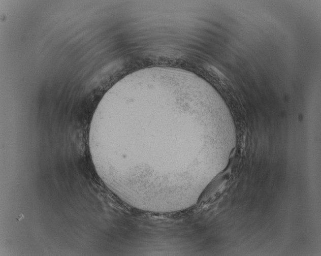 X0000087390774200705181306