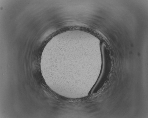 X0000087390775200705181306