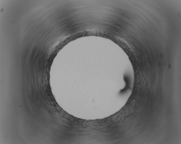 X0000087390776200705181306