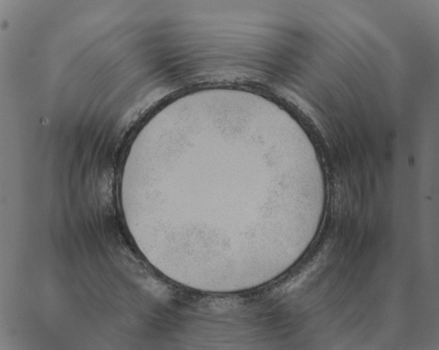 X0000087390778200705181306