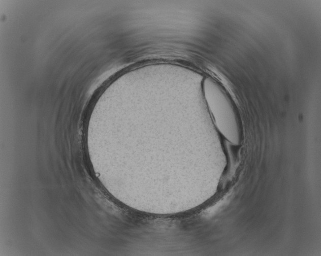 X0000087390779200705181306