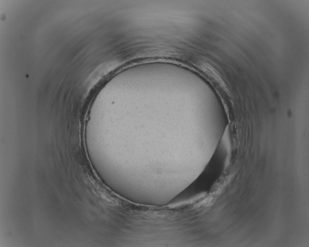 X0000087390781200705181306