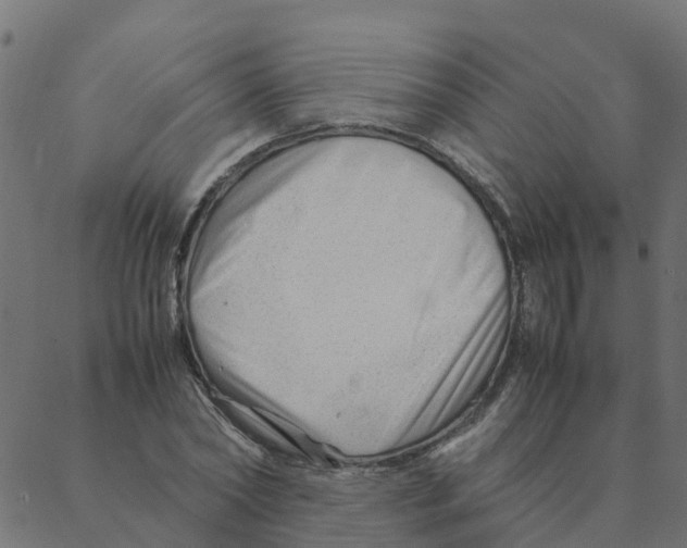 X0000087390782200705181306