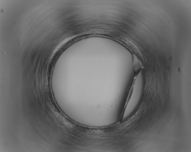 X0000087390784200705181306