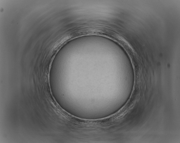 X0000087390785200705181306