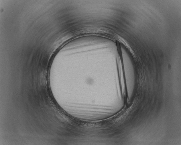 X0000087390786200705181306