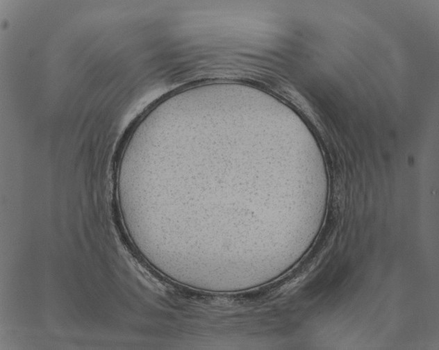 X0000087390787200705181306