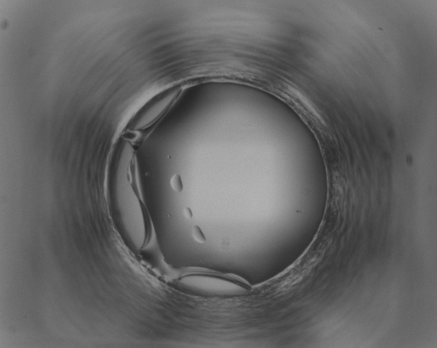 X0000087390788200705181306