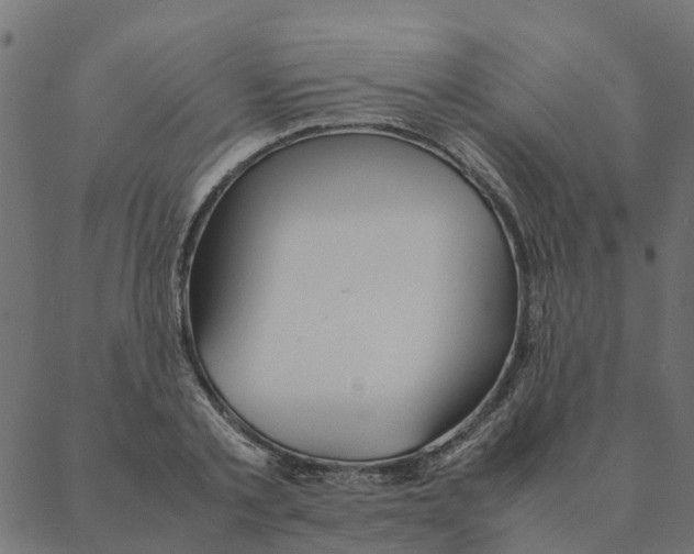 X0000087390789200705181306