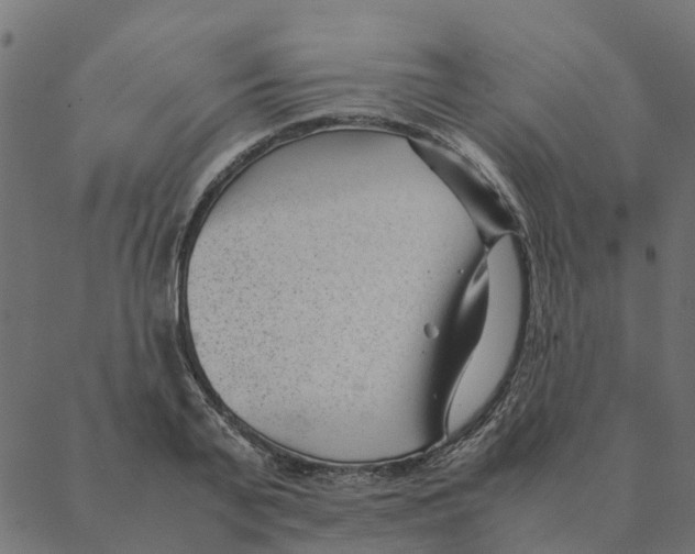 X0000087390791200705181306