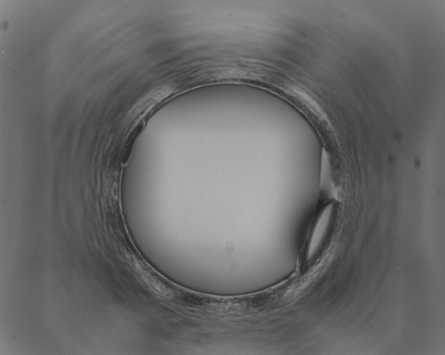 X0000087390793200705181306