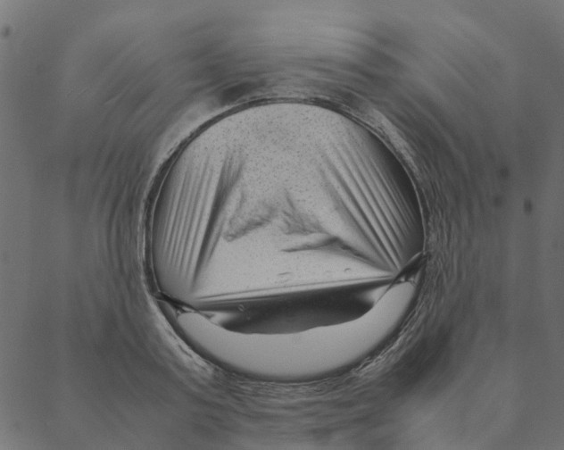 X0000087390795200705181306