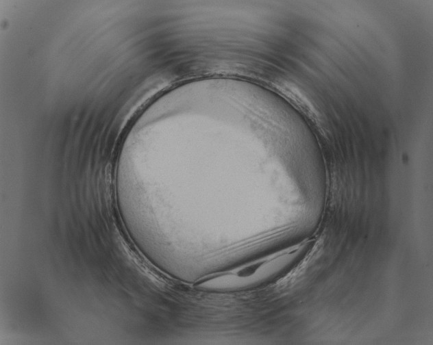 X0000087390798200705181306