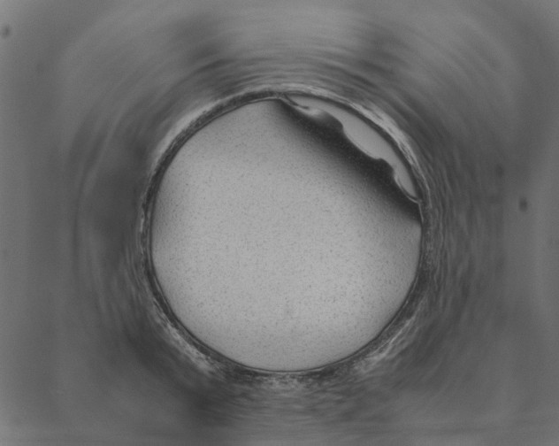 X0000087390799200705181306