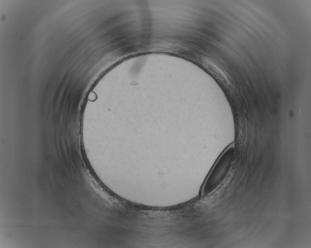 X0000087390800200705181306