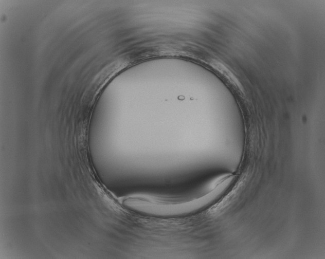 X0000087390801200705181306