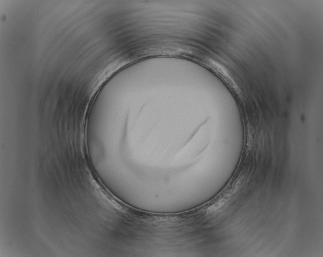 X0000087390802200705181306