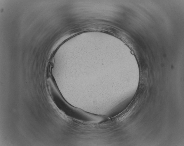 X0000087390803200705181306