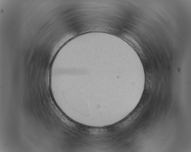 X0000087390804200705181306