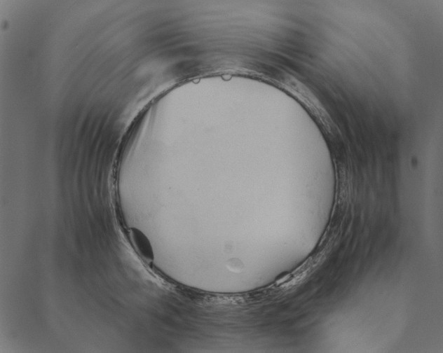 X0000087390806200705181306