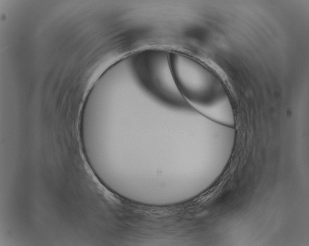 X0000087390807200705181306