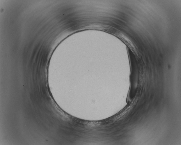 X0000087390808200705181306