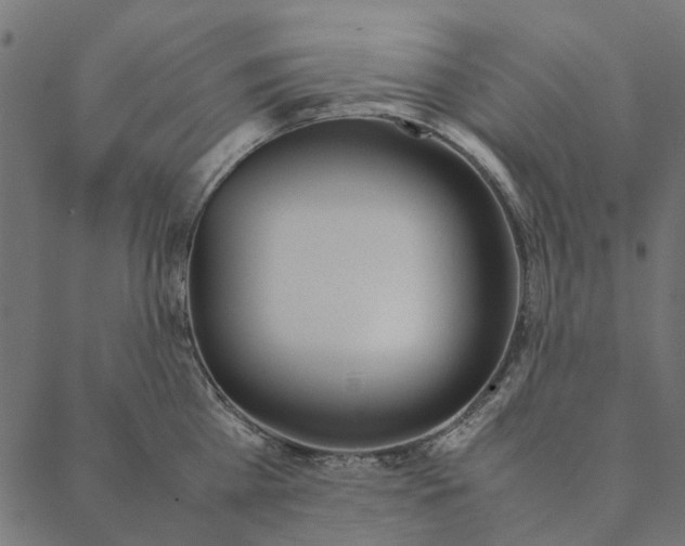 X0000087390809200705181306