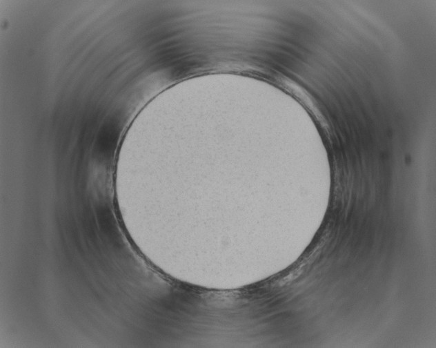 X0000087390810200705181306