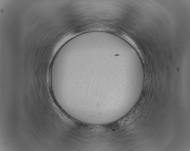 X0000087390811200705181306