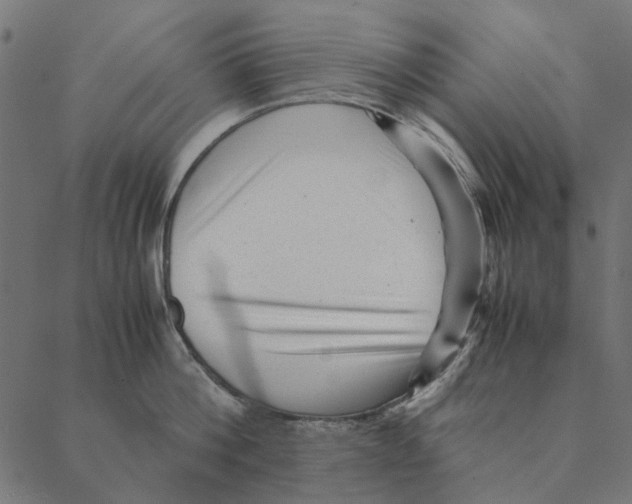 X0000087390812200705181306