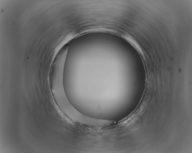 X0000087390813200705181306