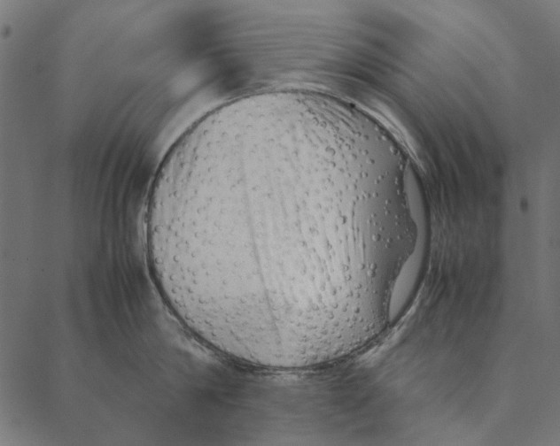 X0000087390814200705181306