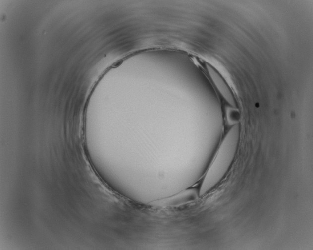 X0000087390815200705181306