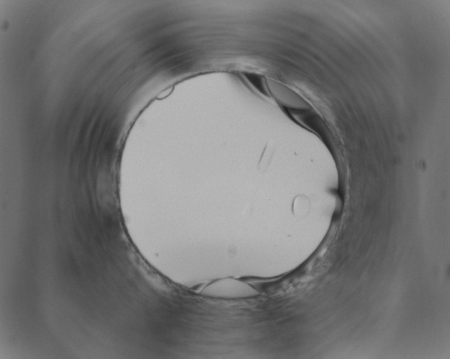 X0000087390816200705181305