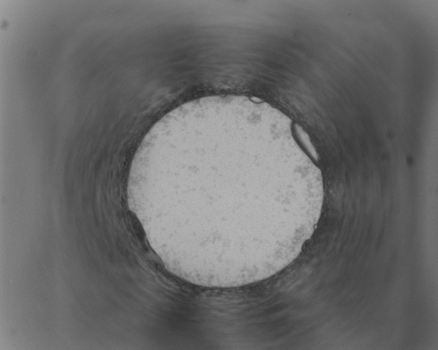 X0000087390817200705181305