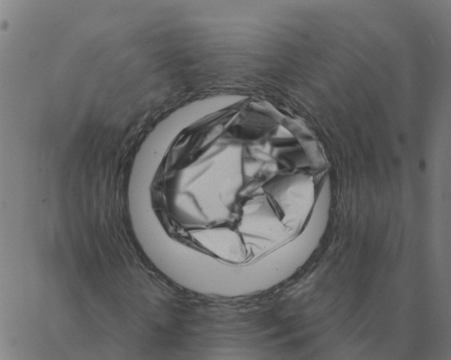 X0000087390818200705181305