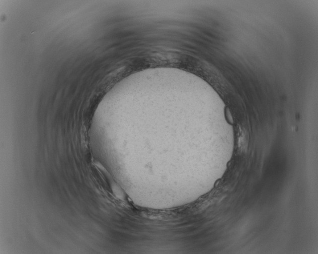 X0000087390819200705181305