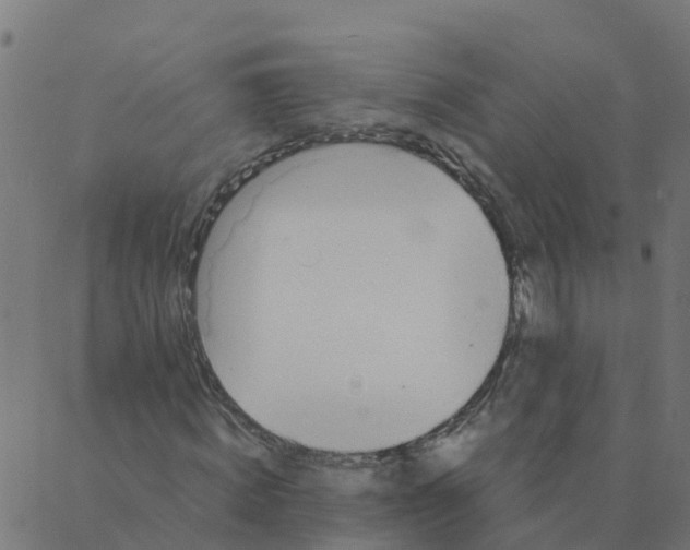 X0000087390820200705181305